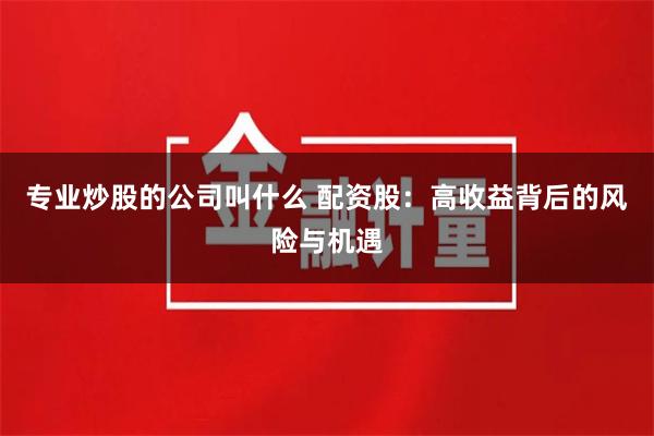 专业炒股的公司叫什么 配资股：高收益背后的风险与机遇